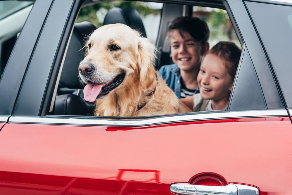 Tipps für bewährte Wortspiele im Auto für Kinder und Erwachsene